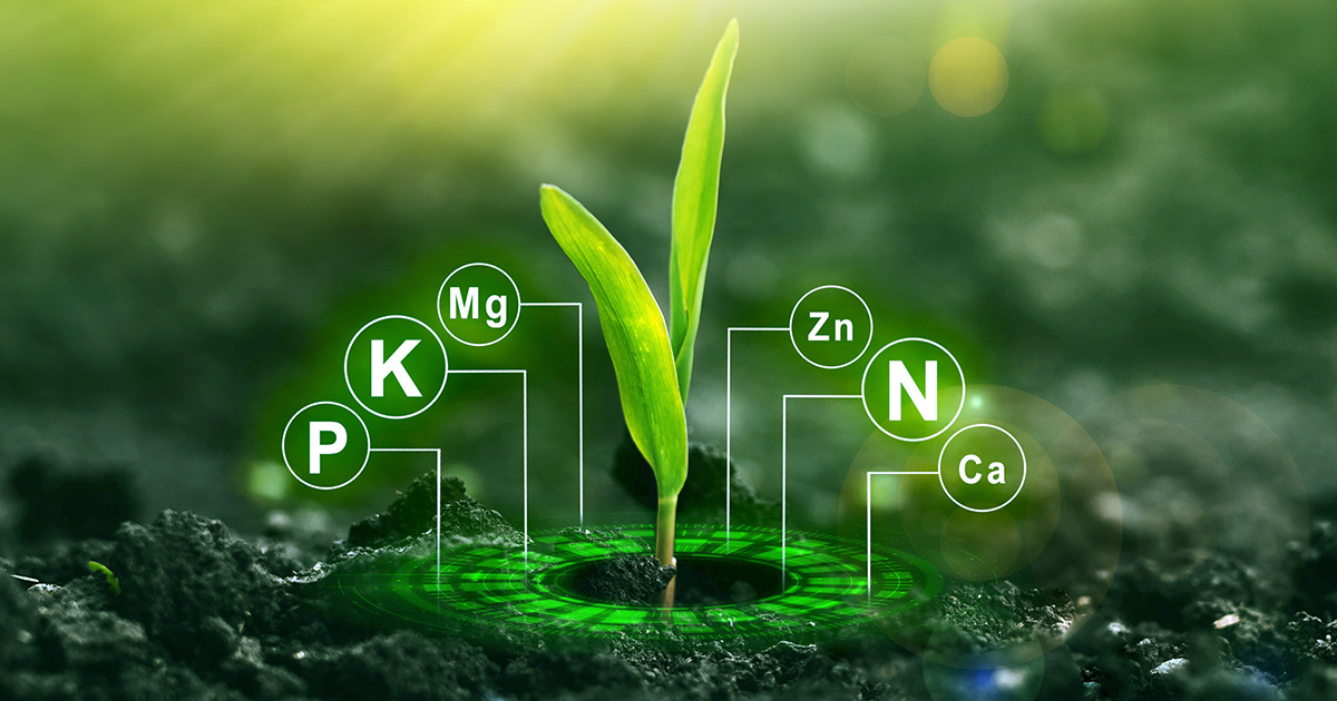 8 Health Benefits of Fulvic Acid 8 Health Benefits of Fulvic Acid
